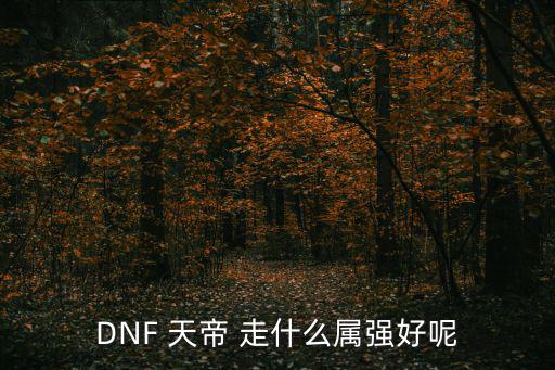 DNF 天帝 走什么属强好呢