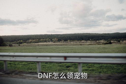 韩服手游dnf宠物怎么领，在韩服DNF里宠物能通过几种方式获得