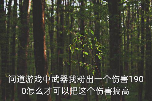 问道游戏中武器我粉出一个伤害1900怎么才可以把这个伤害搞高