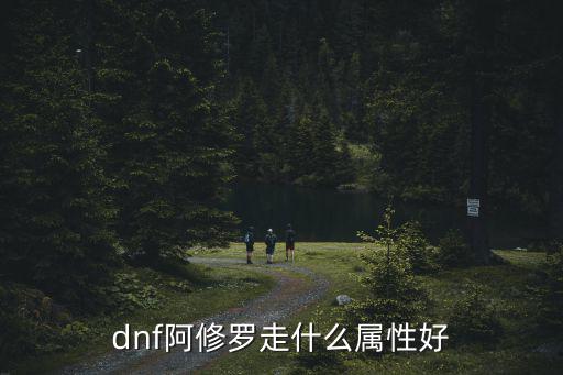 dnf修罗时光走什么属性，dnf修罗走什么属性好还是堆智力