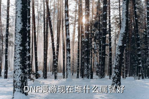 DNF漫游现在堆什么属强好