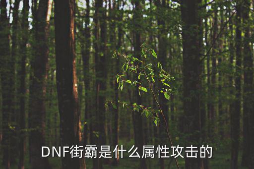 DNF街霸是什么属性攻击的