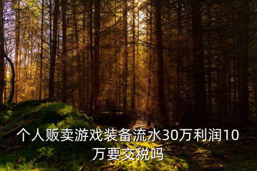 个人贩卖游戏装备流水30万利润10万要交税吗