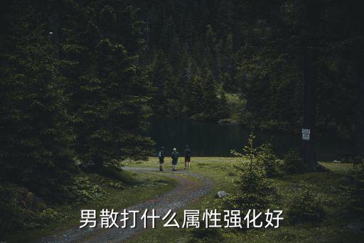 dnf散打什么属性强化好，dnf男散打什么属强好