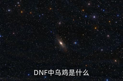 dnf乌鸡是走什么属性，DNF中乌鸡是什么