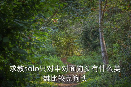 求教solo只对中对面狗头有什么英雄比较克狗头