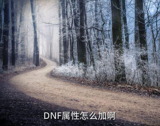 DNF属性怎么加啊