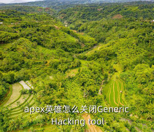 apex英雄怎么关闭Generic Hacking tool