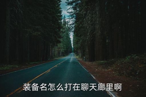 装备名怎么打在聊天廊里啊