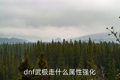 dnf武极走什么属性强化