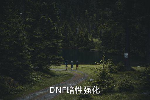 DNF暗性强化