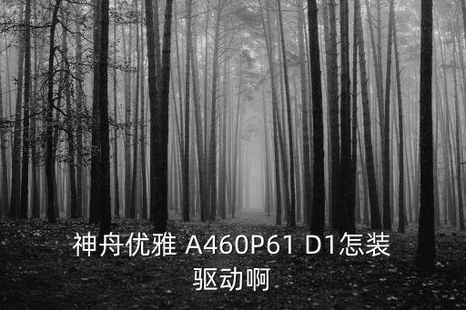 神舟优雅 A460P61 D1怎装驱动啊