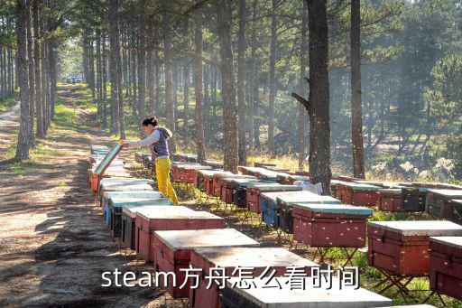 steam方舟怎么看时间