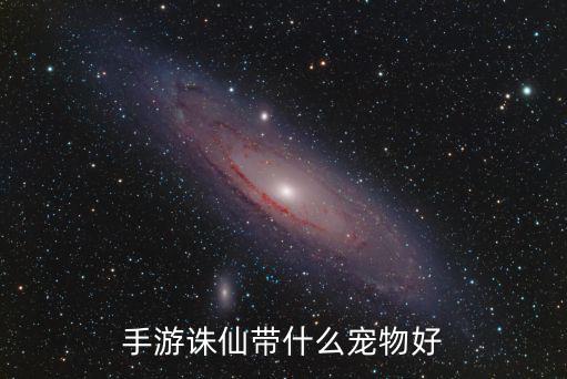 手游诛仙带什么宠物好