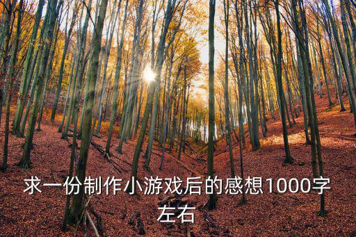 求一份制作小游戏后的感想1000字左右