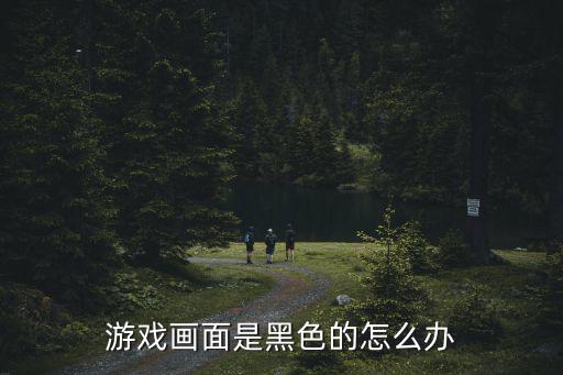 游戏画面是黑色的怎么办