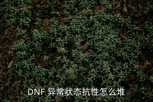 dnf异常状态吃什么属性，DNF如何堆异常状态抗性