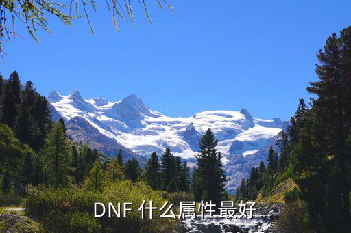 DNF 什么属性最好