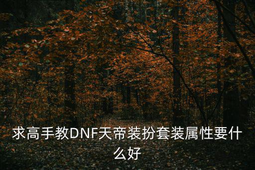 求高手教DNF天帝装扮套装属性要什么好