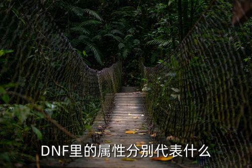 dnf中的属性是什么，DNF中属性是干什么的