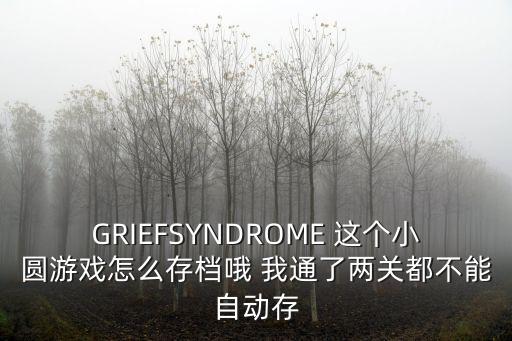 GRIEFSYNDROME 这个小圆游戏怎么存档哦 我通了两关都不能自动存