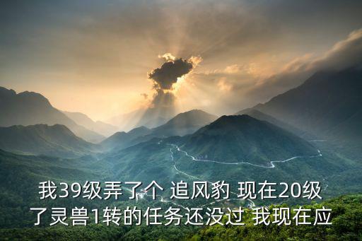 追风冒险手游怎么转1，我39级弄了个 追风豹 现在20级了灵兽1转的任务还没过 我现在应