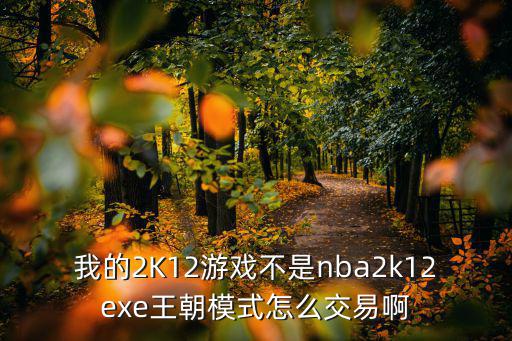 我的2K12游戏不是nba2k12exe王朝模式怎么交易啊