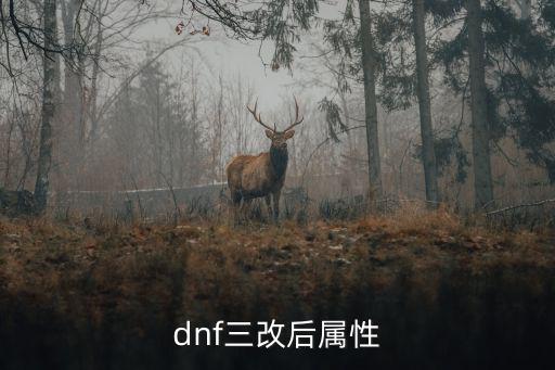 dnf超三有什么属性，DNF会有3中属性吗