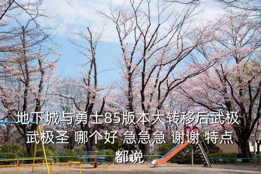 地下城与勇士85版本大转移后武极 武极圣 哪个好 急急急 谢谢 特点都说