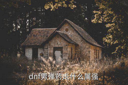 dnf男弹药走什么属强