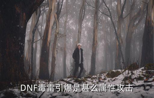 DNF毒雷引爆是甚么属性攻击