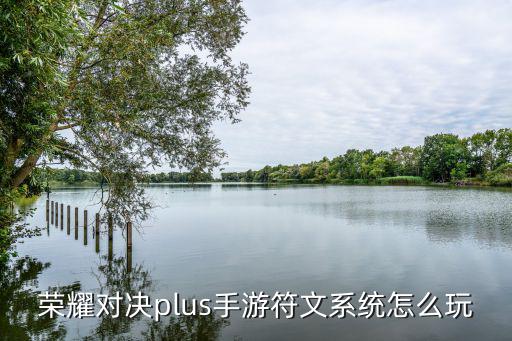 荣耀对决plus手游符文系统怎么玩