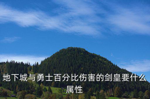 地下城与勇士百分比伤害的剑皇要什么属性