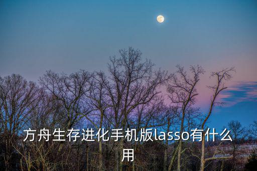 方舟生存进化手机版lasso有什么用