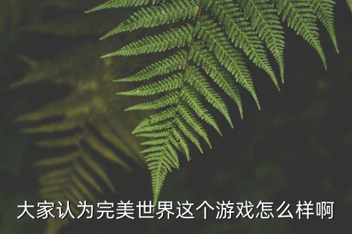 大家认为完美世界这个游戏怎么样啊