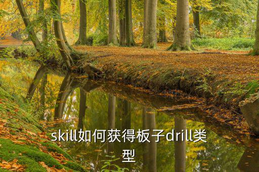 skill如何获得板子drill类型