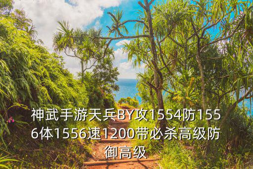 神武手游天兵BY攻1554防1556体1556速1200带必杀高级防御高级