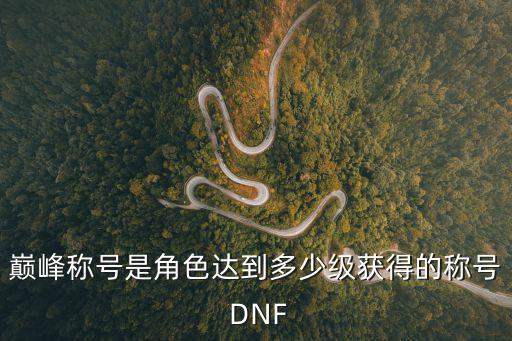 巅峰称号是角色达到多少级获得的称号 DNF