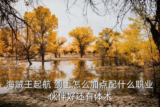 海贼王起航 剑士怎么加点配什么职业 伙伴好还有体术