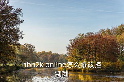 nba2k online怎么修改控制键