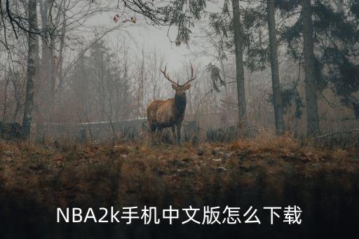 NBA2k手机中文版怎么下载