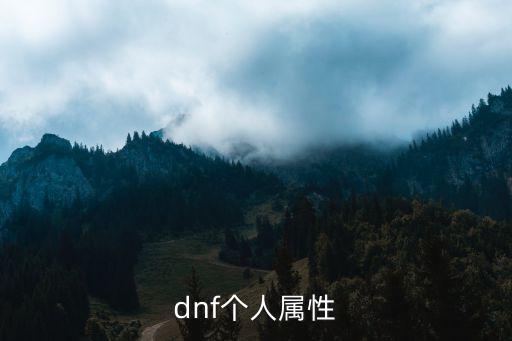 dnf个人属性