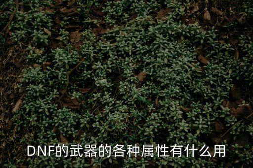 dnf武器属性什么用，DNF中武器的四种属性有什么用啊