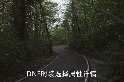 DNF时装选择属性详情