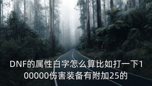 dnf中什么是属性白字，DNF的属性白字怎么算比如打一下100000伤害装备有附加25的