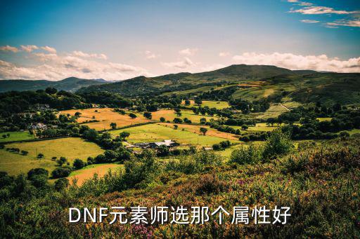 DNF元素师选那个属性好