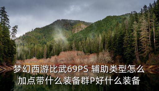 梦幻西游比武69PS 辅助类型怎么加点带什么装备群P好什么装备