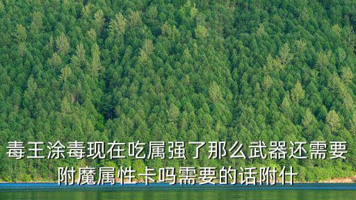 毒王涂毒现在吃属强了那么武器还需要附魔属性卡吗需要的话附什