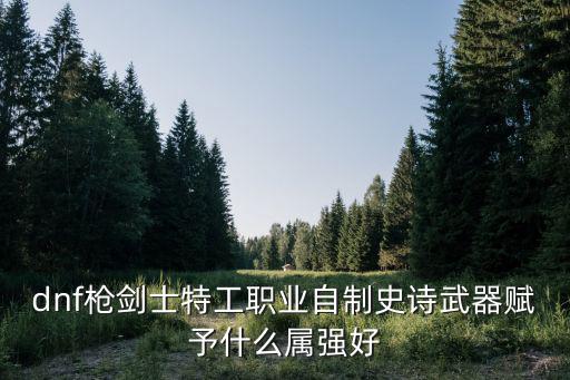 dnf枪剑士特工职业自制史诗武器赋予什么属强好