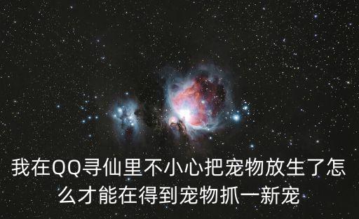 我在QQ寻仙里不小心把宠物放生了怎么才能在得到宠物抓一新宠